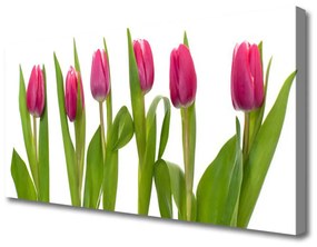 Obraz Canvas Tulipány kvety rastlina 120x60 cm