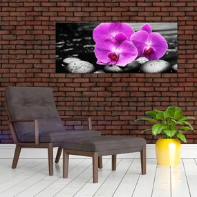 Obraz - Fialové orchidey (120x50 cm)