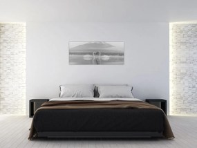 Obraz - Zamilované labute (120x50 cm)