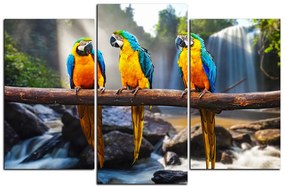 Obraz na plátne - Modro žlté Macaw 1232C (105x70 cm)