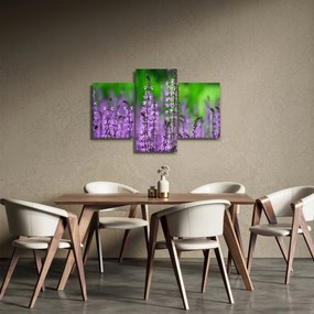 Obraz fialových lúčnych kvetov (90x60 cm)