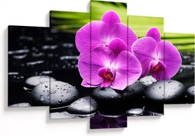 Obraz - Orchidey (150x105 cm)