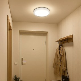 Stropné LED svietidlo Vigo, 1x LED 24w, 4000k, (fi 38cm), w