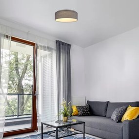 Rabalux - LED stropné svietidlo LED/22W/230V sivé