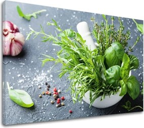 Obraz na stenu ZELENINA_061-11