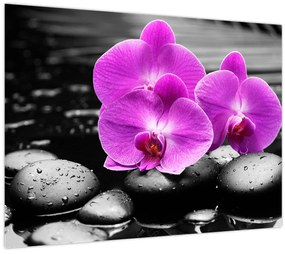Sklenený obraz - Fialové orchidey (70x50 cm)