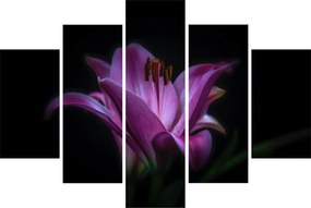 Obraz ľalia (150x105 cm)