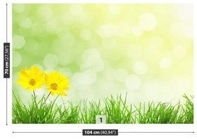 Fototapeta Vliesová Kvety tráva 312x219 cm
