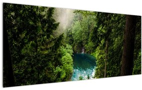Obraz - Priezor medzi stromami (120x50 cm)
