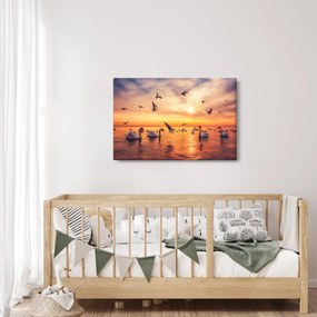 Obraz - Labute (90x60 cm)