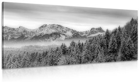Obraz zamrznuté hory v čiernobielom prevedení