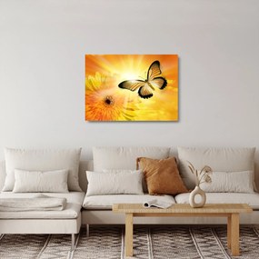 Sklenený obraz - Žltý motýľ s kvetom (70x50 cm)