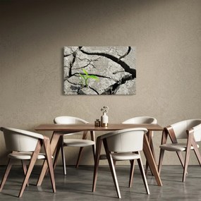 Obraz - Praskliny (90x60 cm)