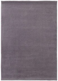 Koberce Breno Kusový koberec SPRING lila, fialová,80 x 150 cm