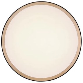 Globo 41765-12 - LED Stropné svietidlo SAMMI LED/12W/230V 3000/4500/6000K