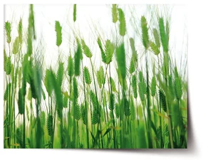 Sablio Plagát Klasy - 60x40 cm