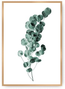 Plagát Eucalyptus Emerald Green