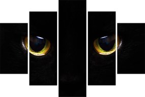 Obraz - Mačacie oči (150x105 cm)