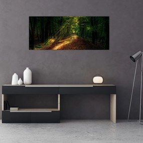 Obraz lesnej cesty (120x50 cm)