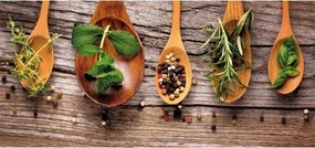 Obraz na stenu Korenie, 70x33 cm%