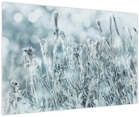Obraz - Kúzlo zimy (90x60 cm)