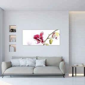 Obraz kvetu orchidey (120x50 cm)