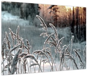 Sklenený obraz - Zamrznutá lúka (70x50 cm)