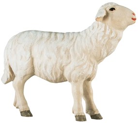 Ovečka pred pastierom - Ľudový