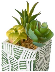 Umelé rastliny v súprave 3 ks (výška 12 cm) Cactus – Casa Selección