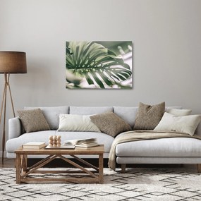 Sklenený obraz - List monštier (70x50 cm)