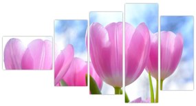 Obraz ružových tulipánov