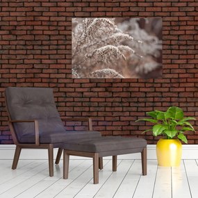 Obraz rastlín (90x60 cm)