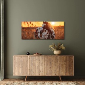 Obraz - Kôň pri západe slnka (120x50 cm)