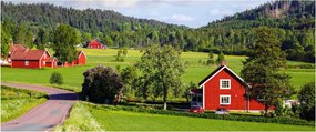 Obraz vidieka (120x50 cm)