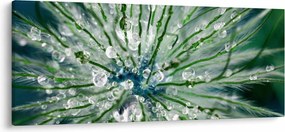 Obraz - Makro snímka kvetu (120x50 cm)