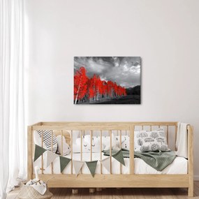 Obraz - Stromy vo farbe jesene (70x50 cm)