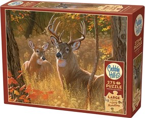 Cobble Hill Puzzle Tajné stretnutie XL 275 dielikov