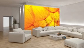 Fototapeta - Abstraktné umenie (152,5x104 cm)