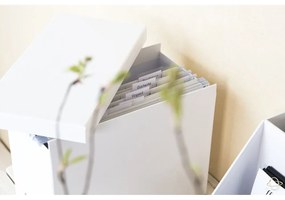 Kartónový organizér na dokumenty Johan – Bigso Box of Sweden