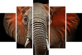 Obraz - Slony z Tsavo (150x105 cm)