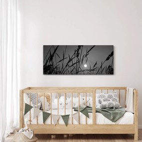 Obraz - Lúka so západom slnka (120x50 cm)