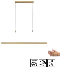 Paul Neuhaus 2568-60 - LED Stmievateľný luster na lanku ADRIANA LED/14W/230V mosadz