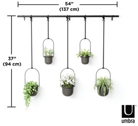 Plastový obal na kvetináč 5 ks na bylinky/závesný a nástenný ø 7,5 cm Triflora – Umbra