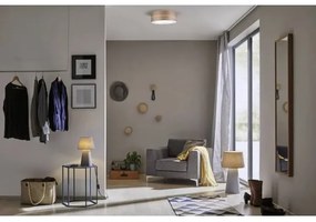 Paulmann 79687 - 3xE27/20W Stropné svietidlo NEORDIC LISKA 230V vlašský orech