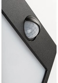Rabalux 7478-LED Vonkajšie nástenné svietidlo so senzorom BALIMO LED/12W/230V IP44