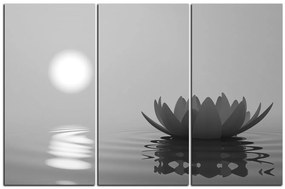 Obraz na plátne - Zen lotus 1167QB (105x70 cm)