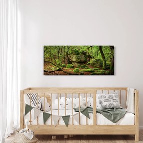 Obraz čarovného lesa (120x50 cm)