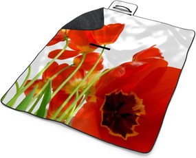 Sablio Plážová deka Tulipány: 200x140 cm