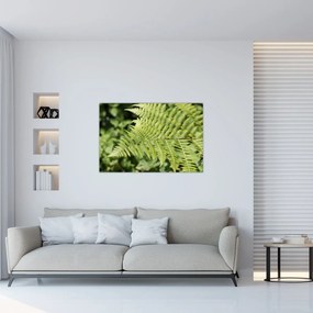 Obraz - Papradinový list (90x60 cm)