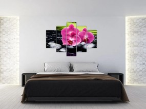 Obraz - Ružové orchidey s palmovým listom (150x105 cm)